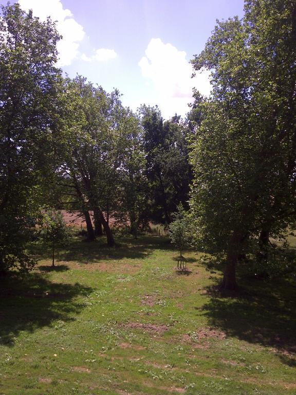 Chateau De La Motte Daudier Craon  Номер фото