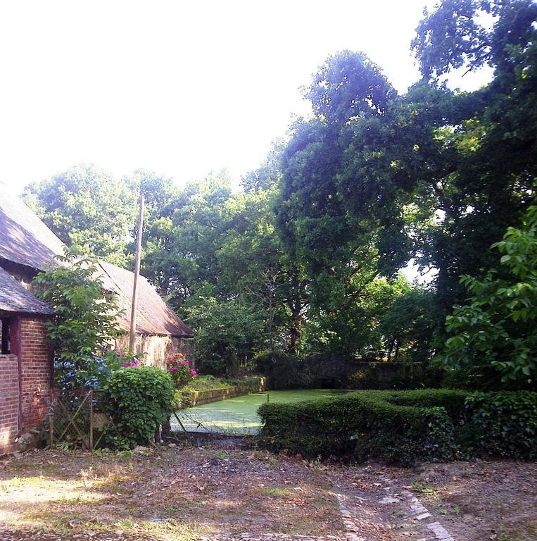 Chateau De La Motte Daudier Craon  Номер фото